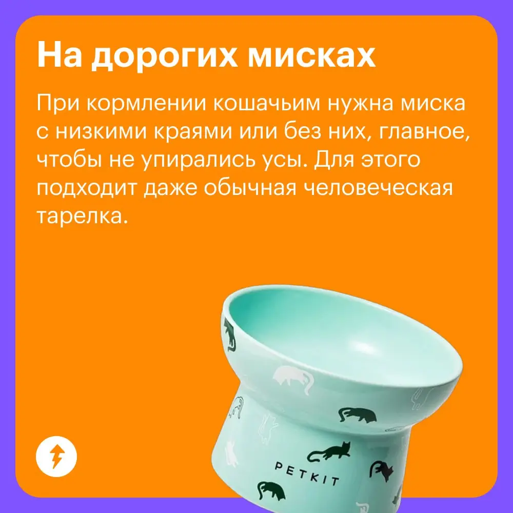 🐈 Уход за кошками стоит немало, и есть то, на чем действительно нельзя экономить: на хорошем корме, своевременных прививках и качественных обработках | Сетка — социальная сеть от hh.ru