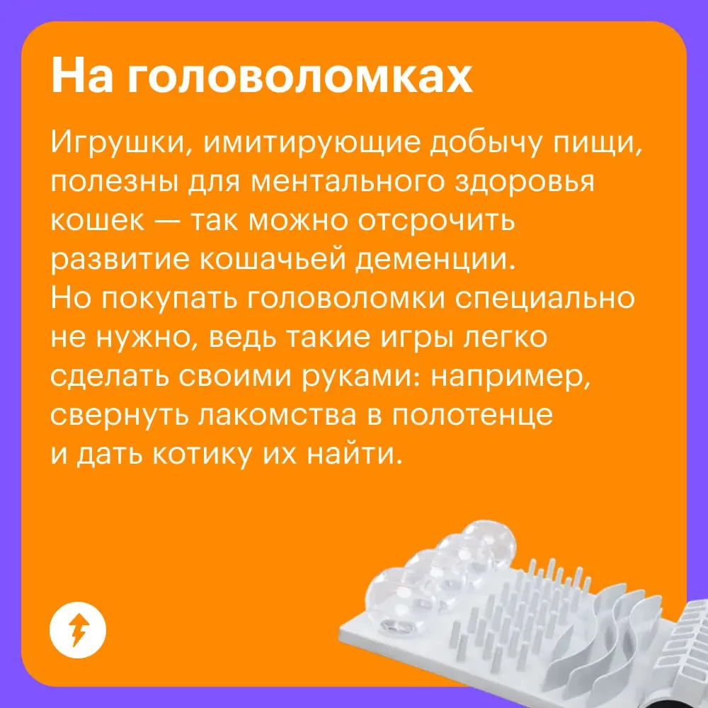 🐈 Уход за кошками стоит немало, и есть то, на чем действительно нельзя экономить: на хорошем корме, своевременных прививках и качественных обработках | Сетка — социальная сеть от hh.ru