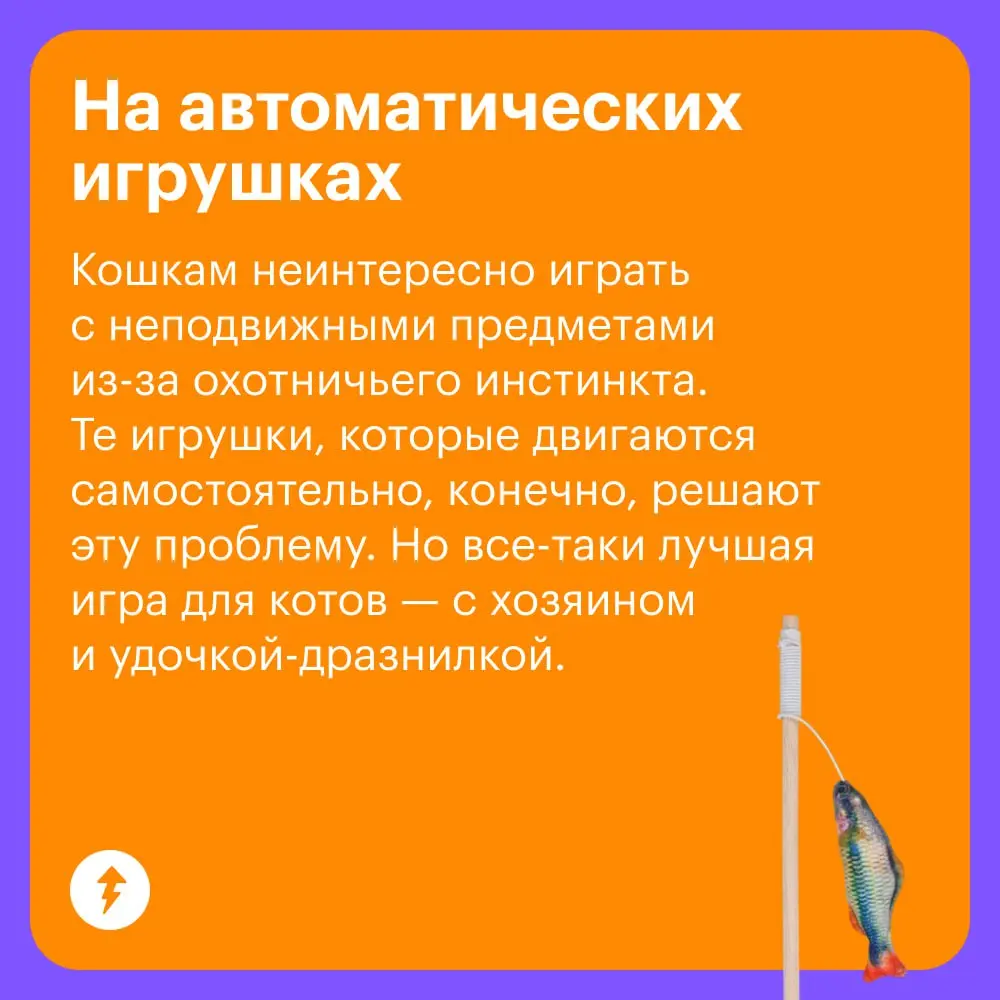 🐈 Уход за кошками стоит немало, и есть то, на чем действительно нельзя экономить: на хорошем корме, своевременных прививках и качественных обработках | Сетка — социальная сеть от hh.ru