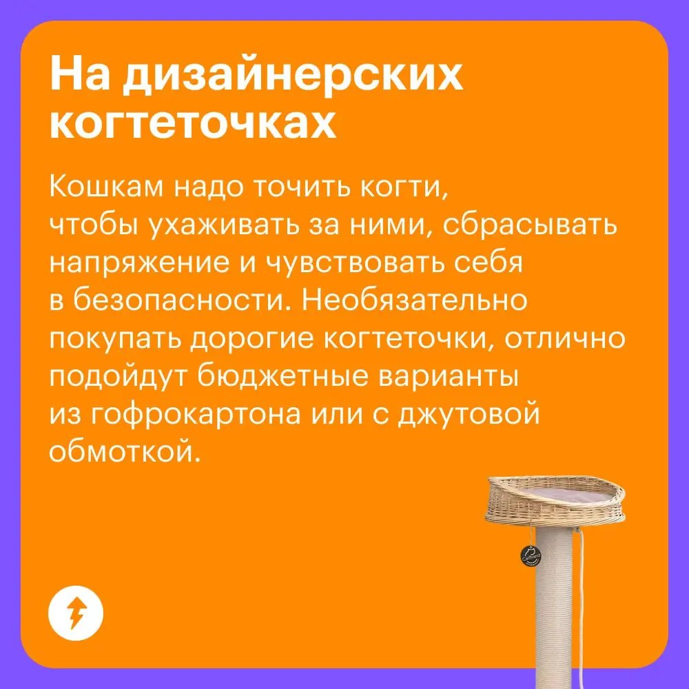 🐈 Уход за кошками стоит немало, и есть то, на чем действительно нельзя экономить: на хорошем корме, своевременных прививках и качественных обработках | Сетка — социальная сеть от hh.ru