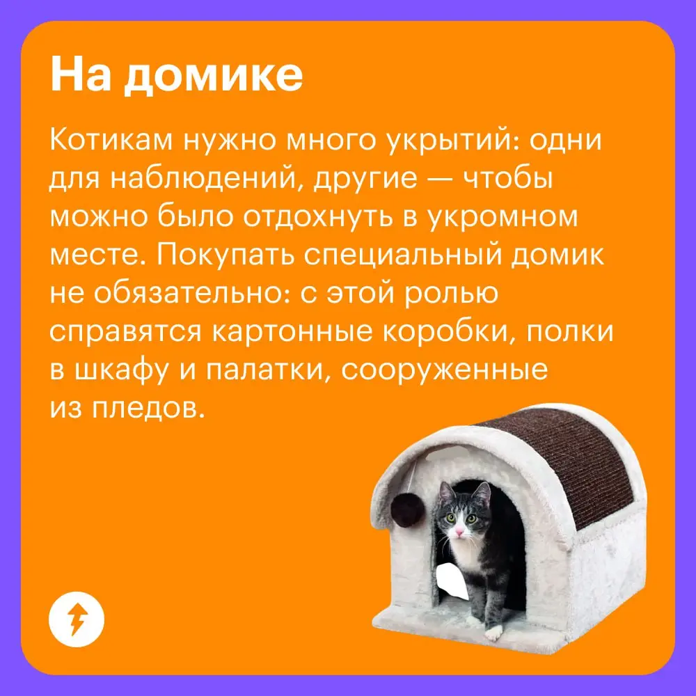 🐈 Уход за кошками стоит немало, и есть то, на чем действительно нельзя экономить: на хорошем корме, своевременных прививках и качественных обработках | Сетка — социальная сеть от hh.ru