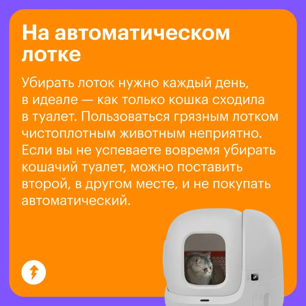 🐈 Уход за кошками стоит немало, и есть то, на чем действительно нельзя экономить: на хорошем корме, своевременных прививках и качественных обработках | Сетка — социальная сеть от hh.ru