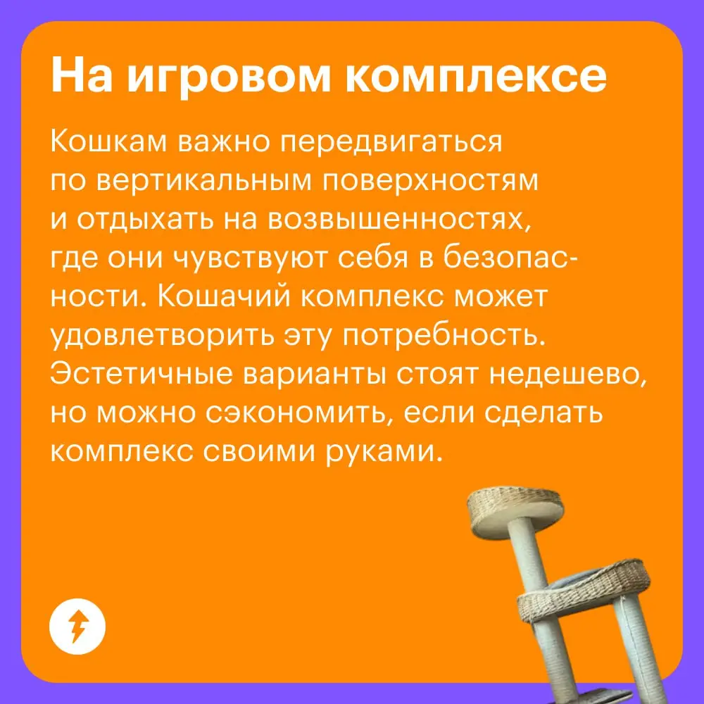 🐈 Уход за кошками стоит немало, и есть то, на чем действительно нельзя экономить: на хорошем корме, своевременных прививках и качественных обработках | Сетка — социальная сеть от hh.ru