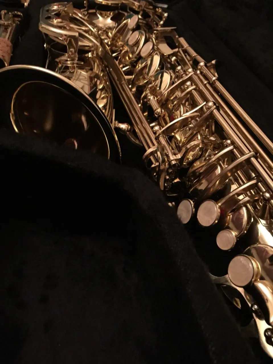 🎷Лекции о джазе
19 и 26 октября
В программе — лекции по истории джаза, выступления музыкантов, конкурс на знание жанра и обзор джазовых новинок недели
▫️Вход свободный, необходима регистрация
📍Свободн... | Сетка — социальная сеть от hh.ru