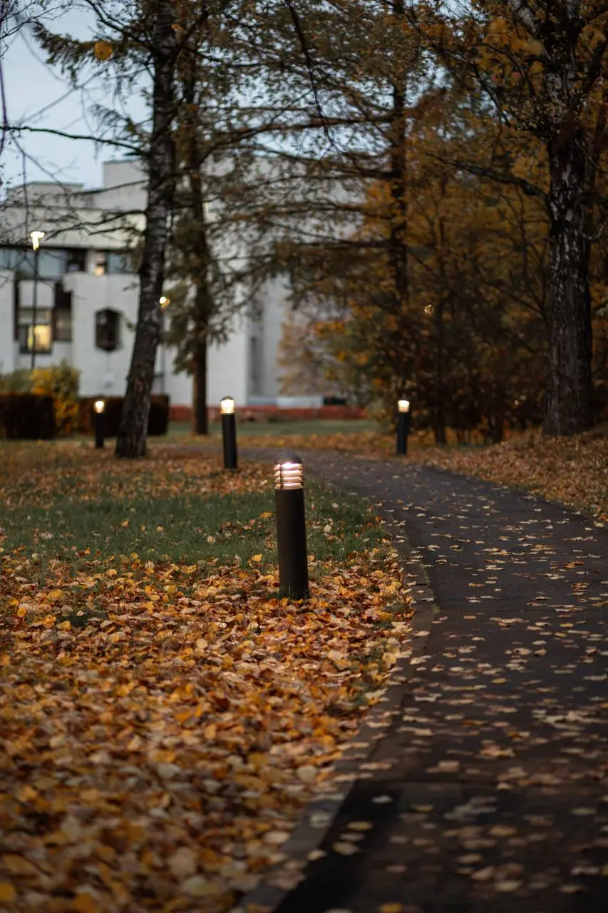 Осенний Парк Победы 🍁
#Зеленоград #фотограф #москва | Сетка — социальная сеть от hh.ru