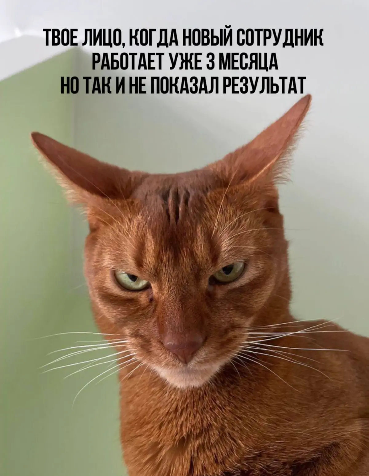 Самый важный KPI в подборе - не "время до найма", а "время д | Сетка — социальная сеть от hh.ru
