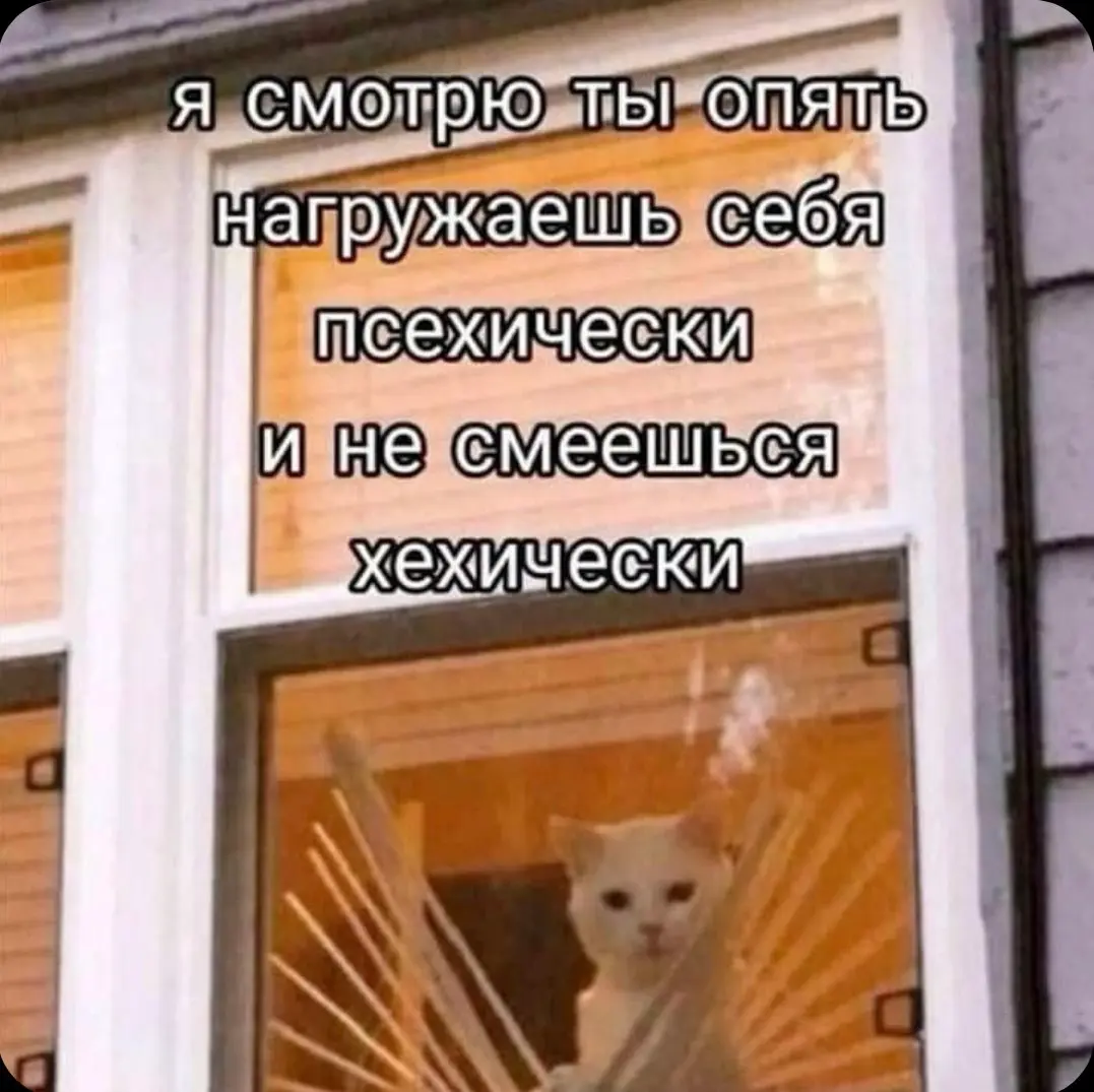 Мемомэтч? | Сетка — социальная сеть от hh.ru