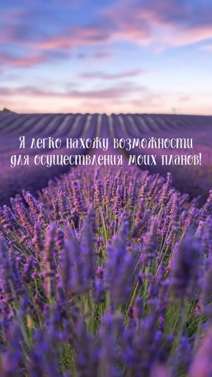 Выходного дня | Сетка — социальная сеть от hh.ru