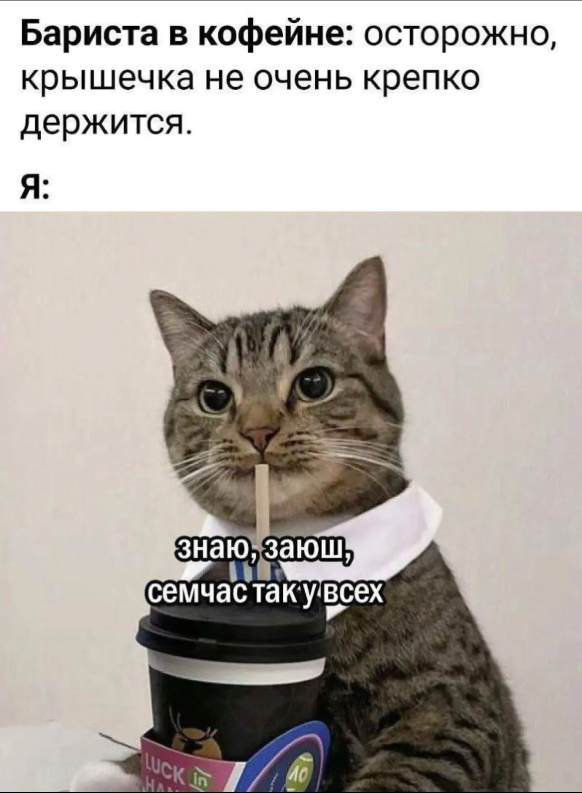 Уж сколько раз твердили миру… | Сетка — социальная сеть от hh.ru