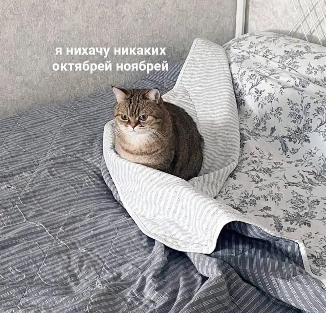 И еще внеплановая подборка для, вас от меня из сегодняшнего брожения по разным канальчикам с картинками ❤️ | Сетка — социальная сеть от hh.ru