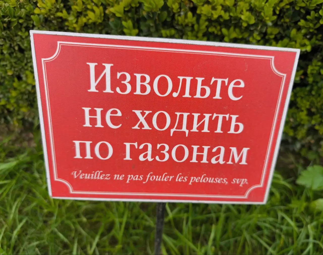 И про таблички отдельный пост 😂 | Сетка — социальная сеть от hh.ru