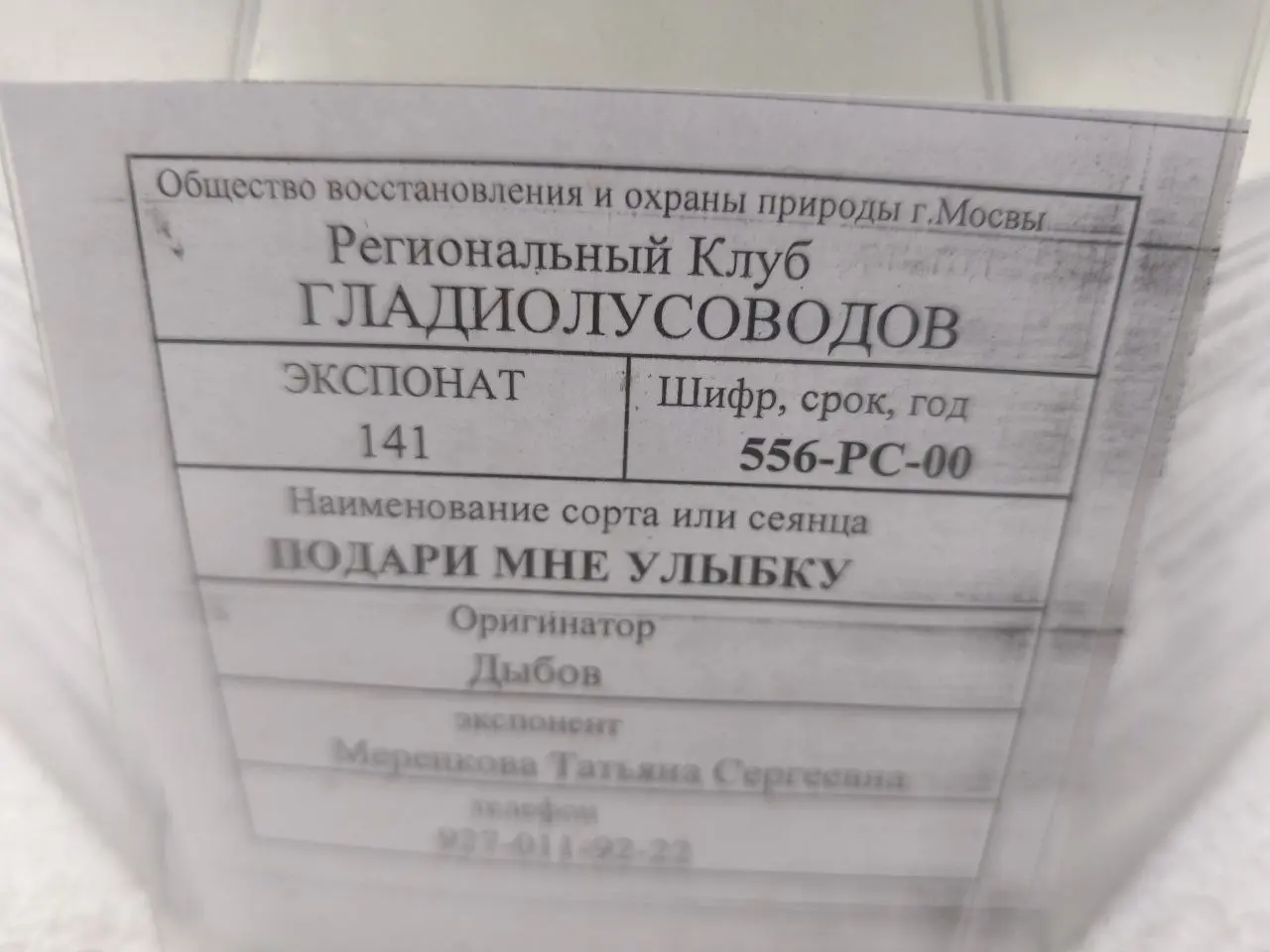 И про таблички отдельный пост 😂 | Сетка — социальная сеть от hh.ru