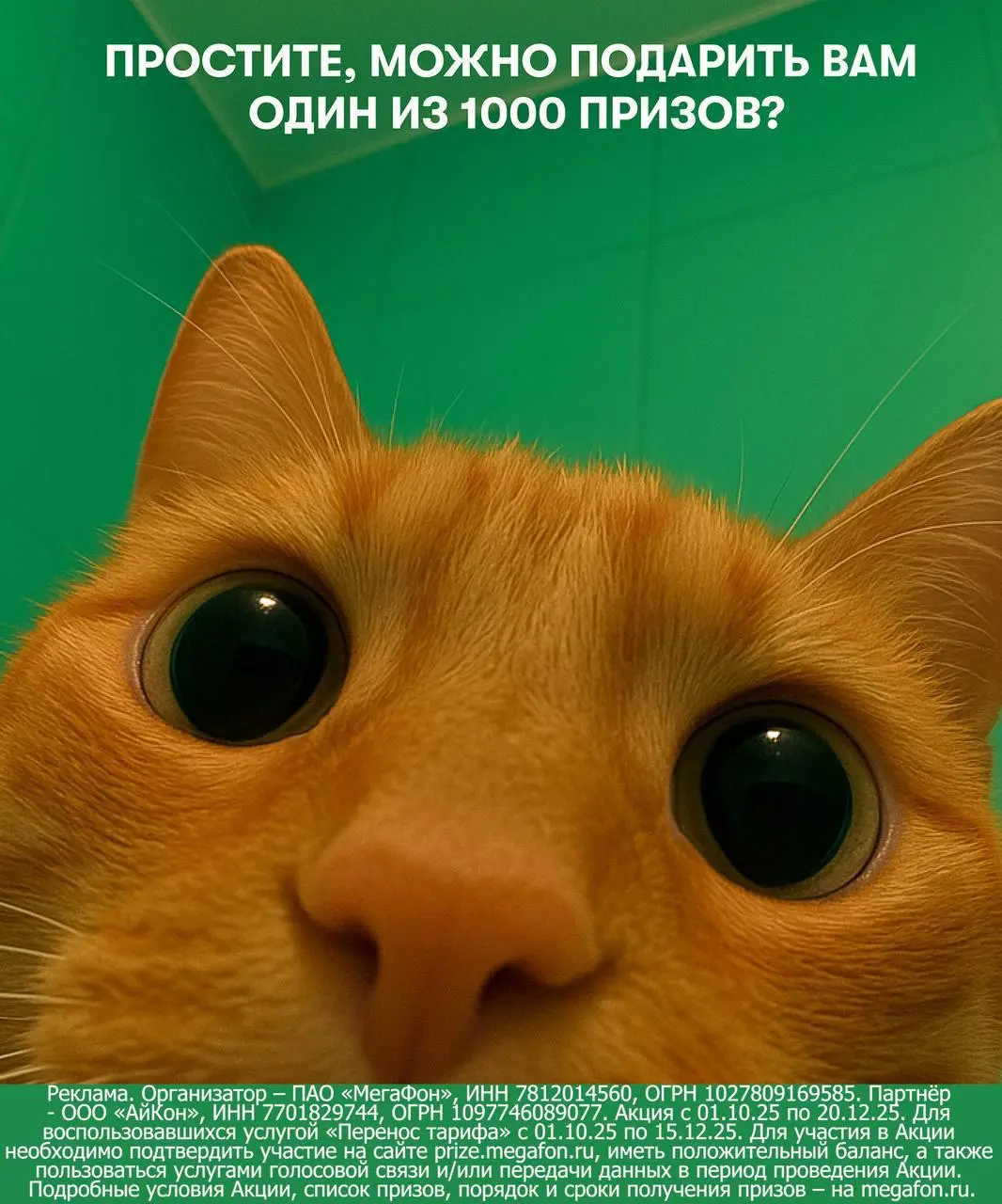 💌 Дорогая дешевая реклама
Очередной раз наткнувшись на «креативную» рекламу у меня возникло неприятное ощущение. Сейчас объясню, что я имею ввиду | Сетка — социальная сеть от hh.ru