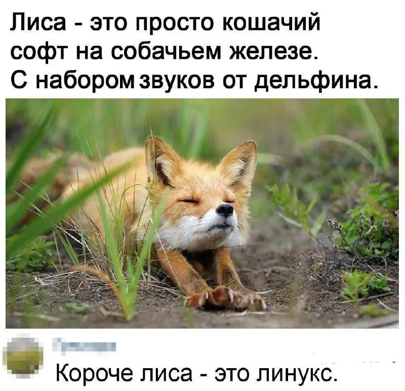 #IT
😂 ПМ 🛍 Другие каналы
В этом посте были ссылки, но мы их удалили по правилам Сетки | Сетка — социальная сеть от hh.ru