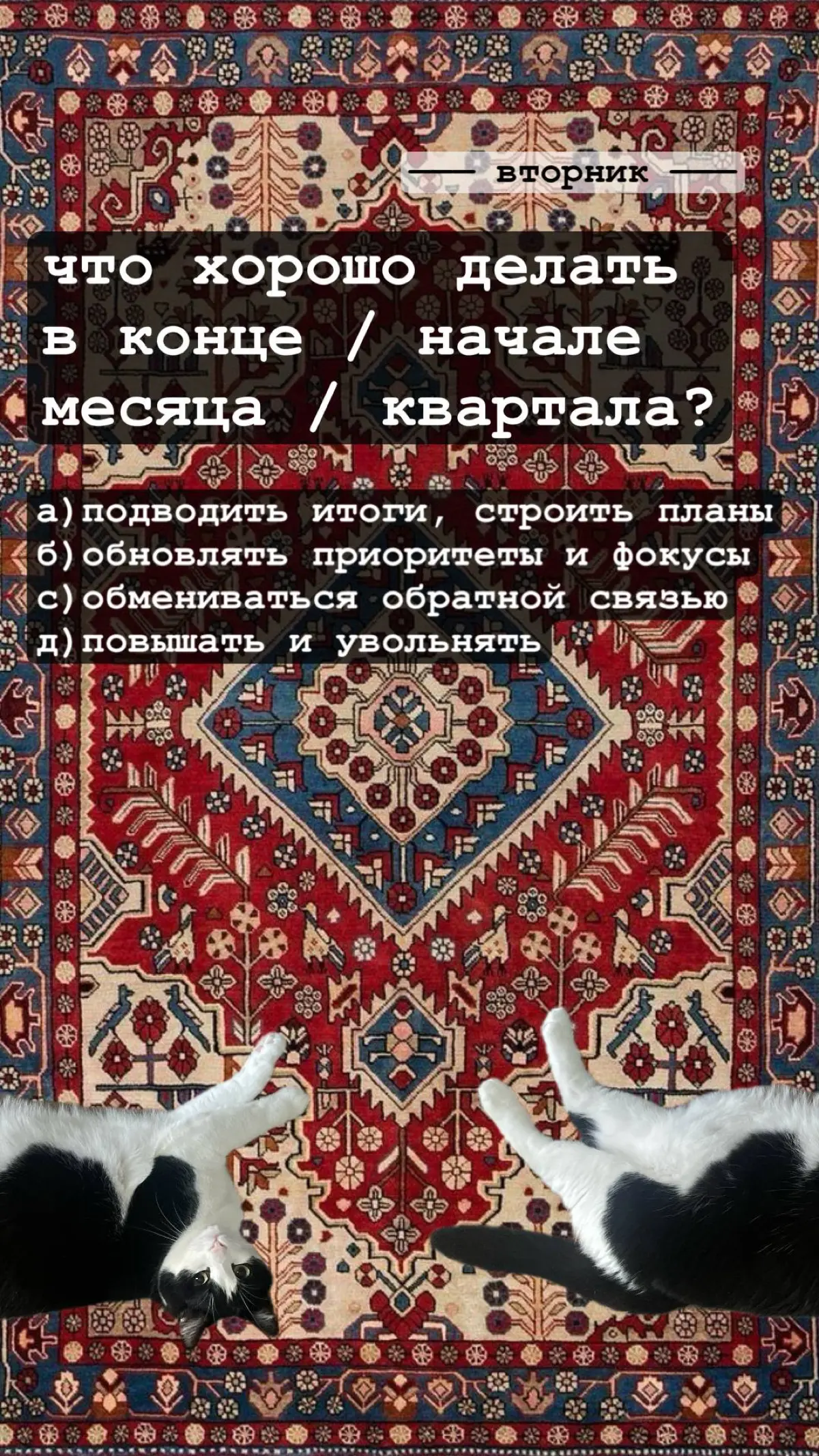 А что если не кретин? | Сетка — социальная сеть от hh.ru