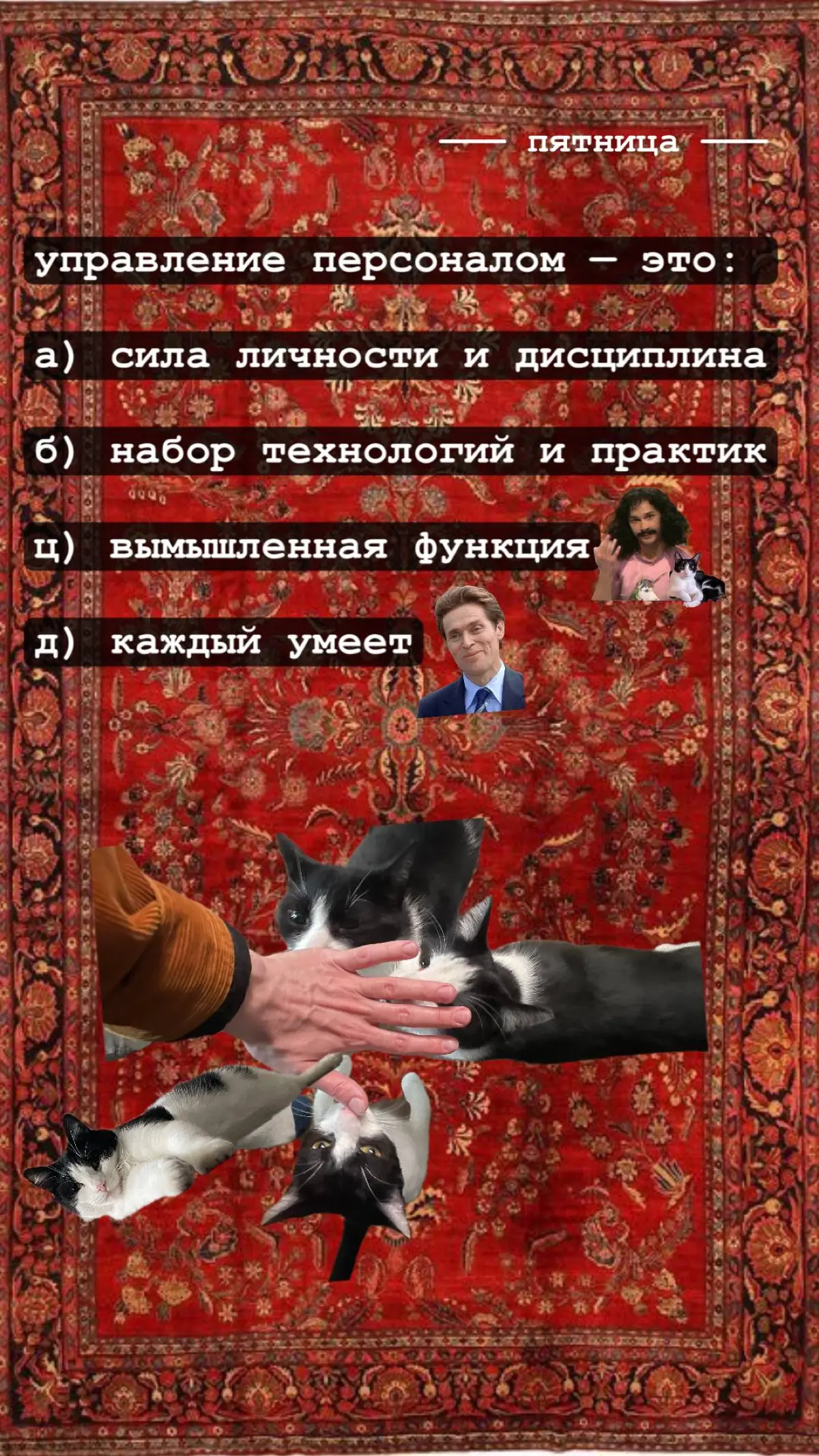 А что если не кретин? | Сетка — социальная сеть от hh.ru