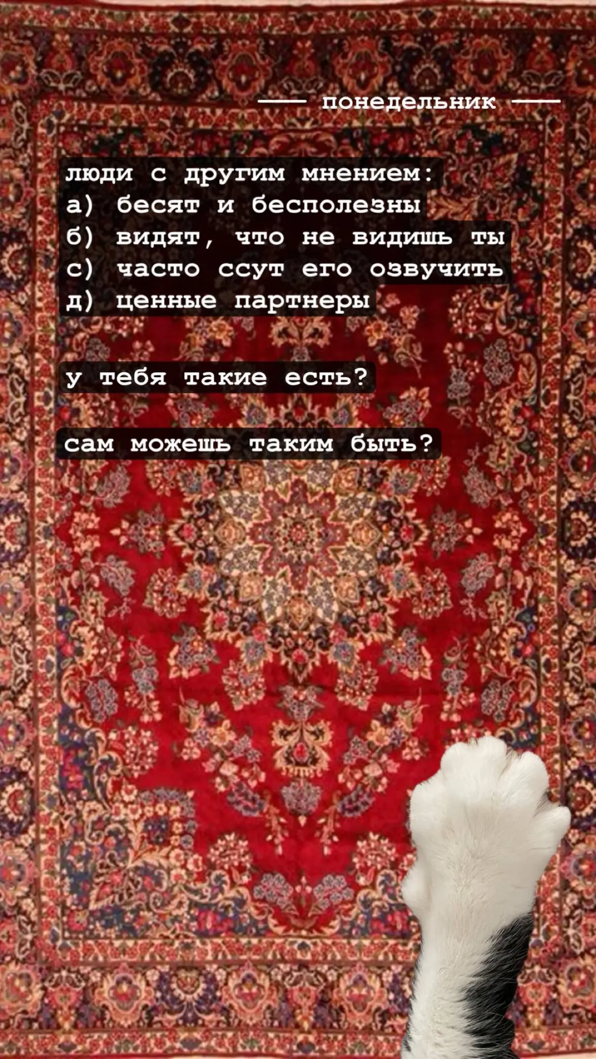 А что если не кретин? | Сетка — социальная сеть от hh.ru