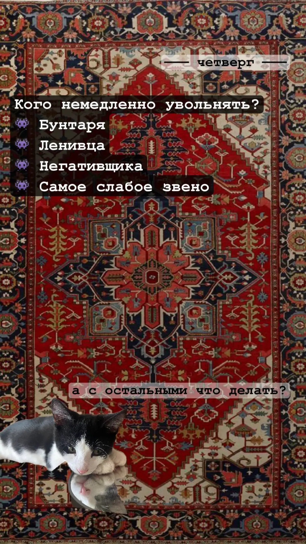 А что если не кретин? | Сетка — социальная сеть от hh.ru