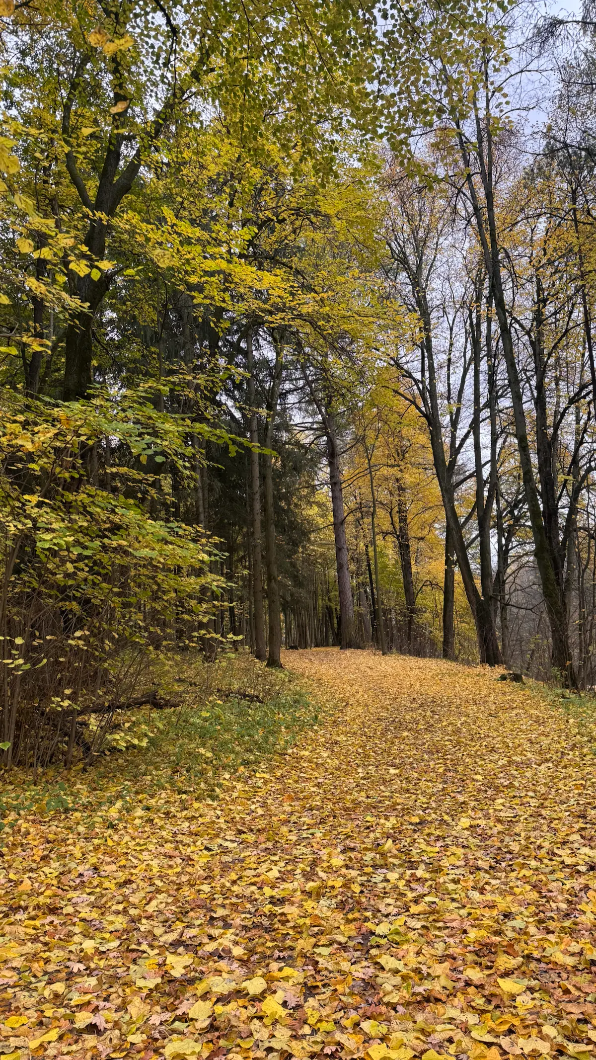 🍂🍁 | Сетка — социальная сеть от hh.ru