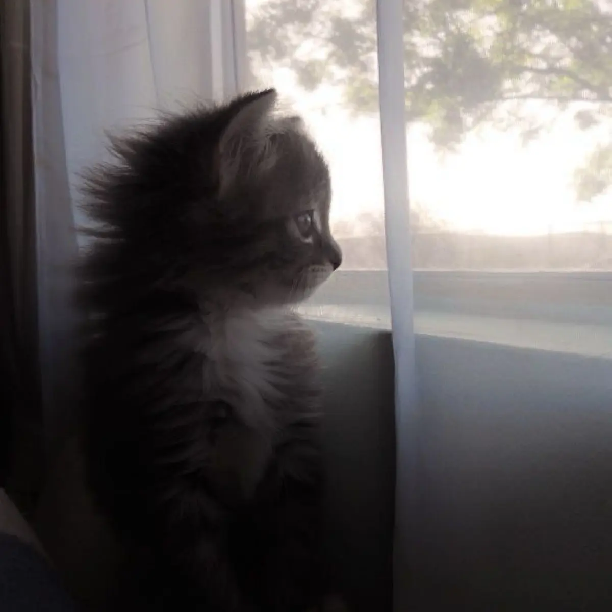 Fear Awaits | Сетка — социальная сеть от hh.ru