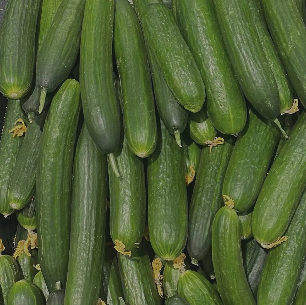 Две вещи, от которых я грущу в октябре:
🥒 пластилиновые огурцы в магазинах
🎄 новогодняя атмосфера в магазинах | Сетка — социальная сеть от hh.ru