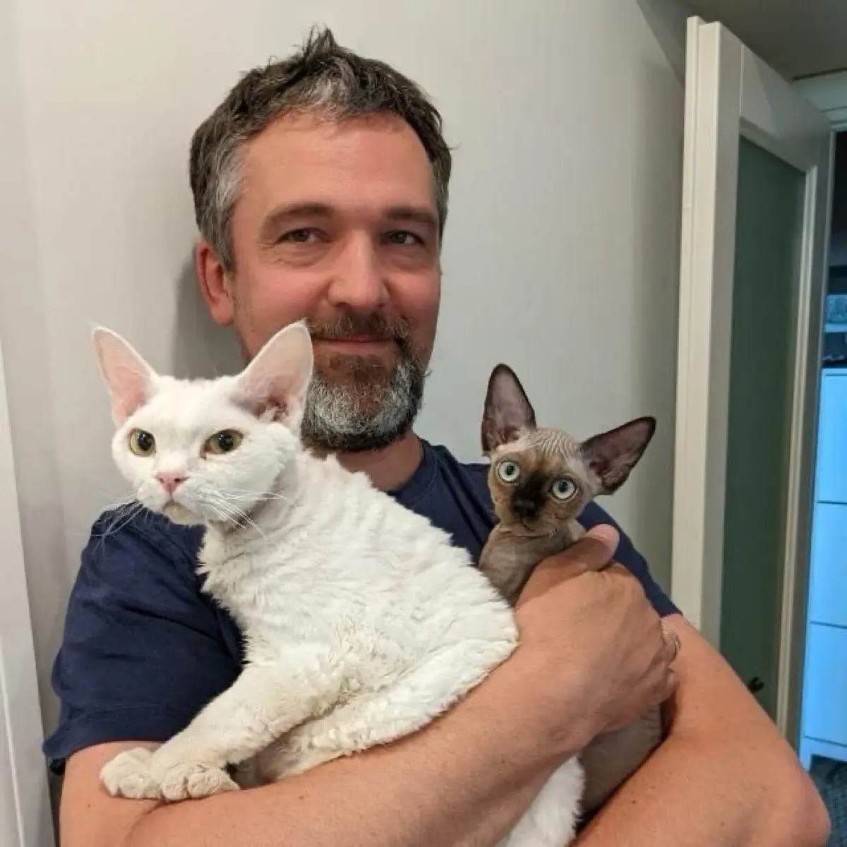 Алексей Колесников