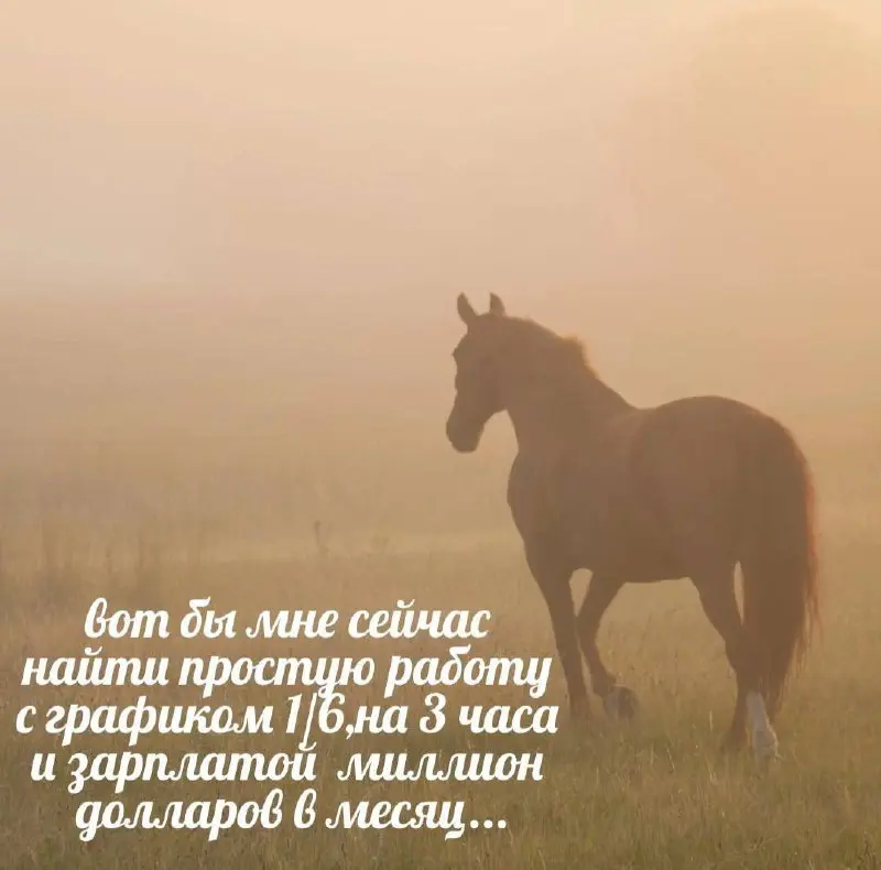 Всем доброе воскресное 😆 | Сетка — социальная сеть от hh.ru