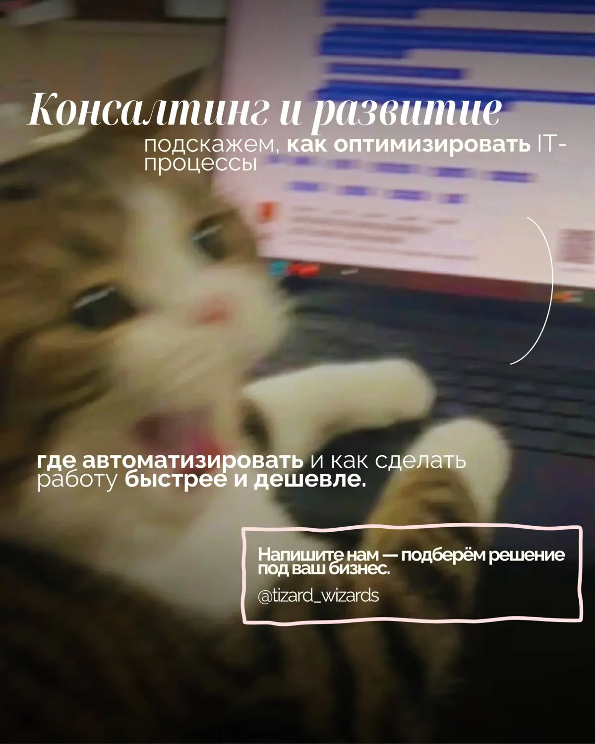 Вы занимаетесь бизнесом, мы — его стабильностью. | Сетка — социальная сеть от hh.ru
