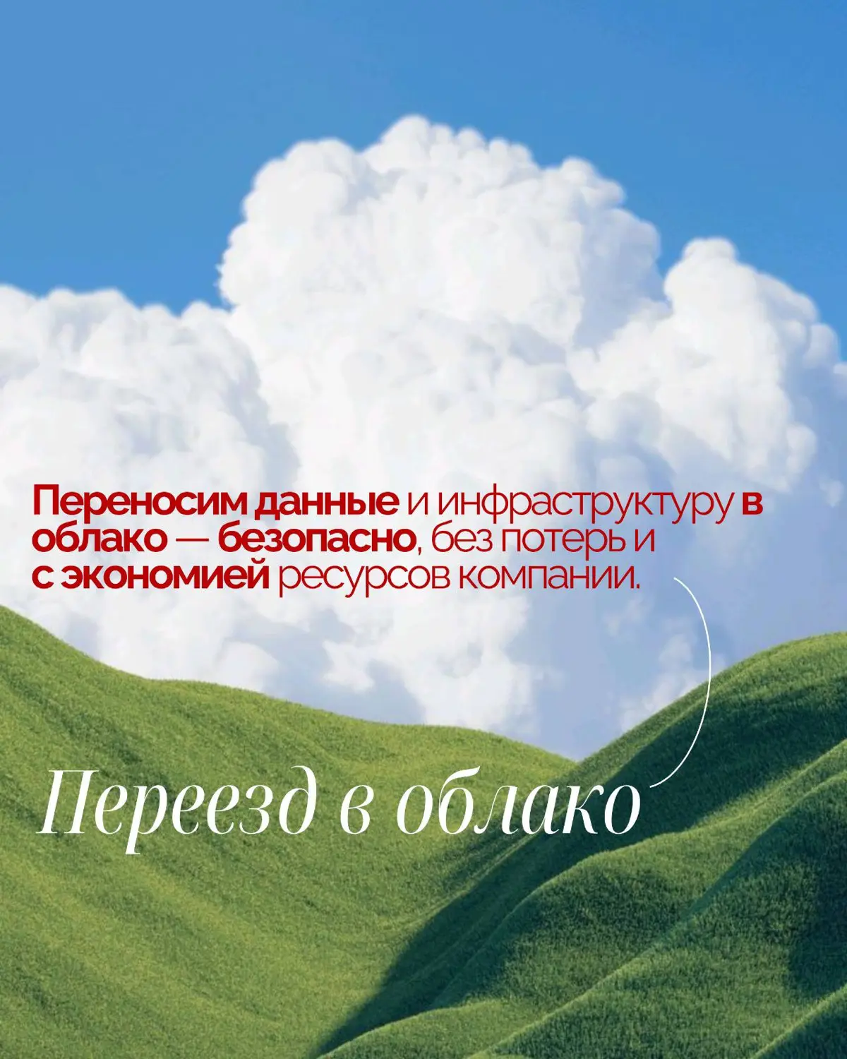 Вы занимаетесь бизнесом, мы — его стабильностью. | Сетка — социальная сеть от hh.ru