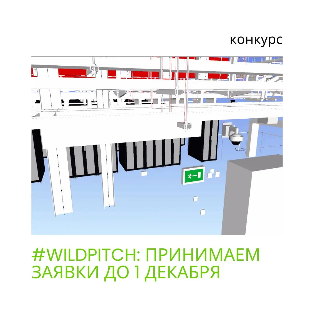 До 1 декабря мы принимаем заявки на #WildPitch | Сетка — социальная сеть от hh.ru