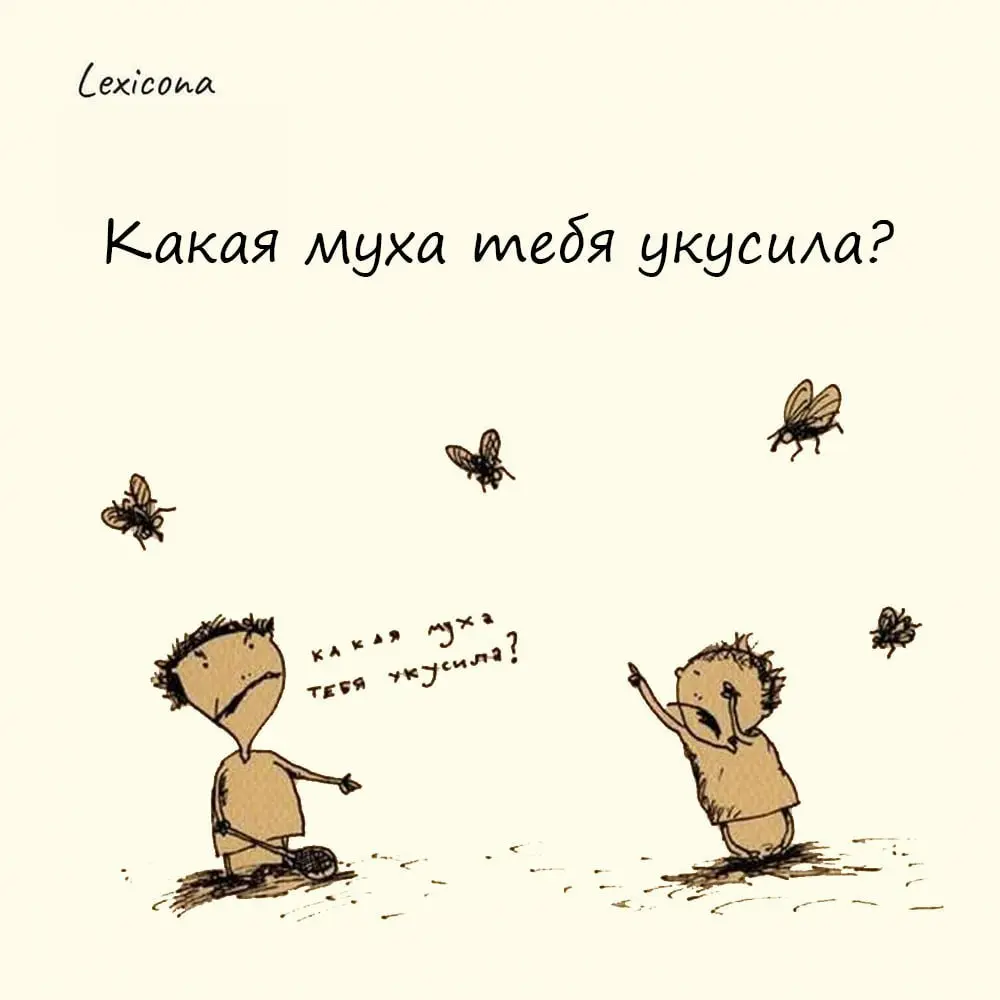 Какая муха тебя укусила? 🐝
Это синоним вопросов «Что с тобой случилось?», «Что не так?» и иже с ними | Сетка — социальная сеть от hh.ru