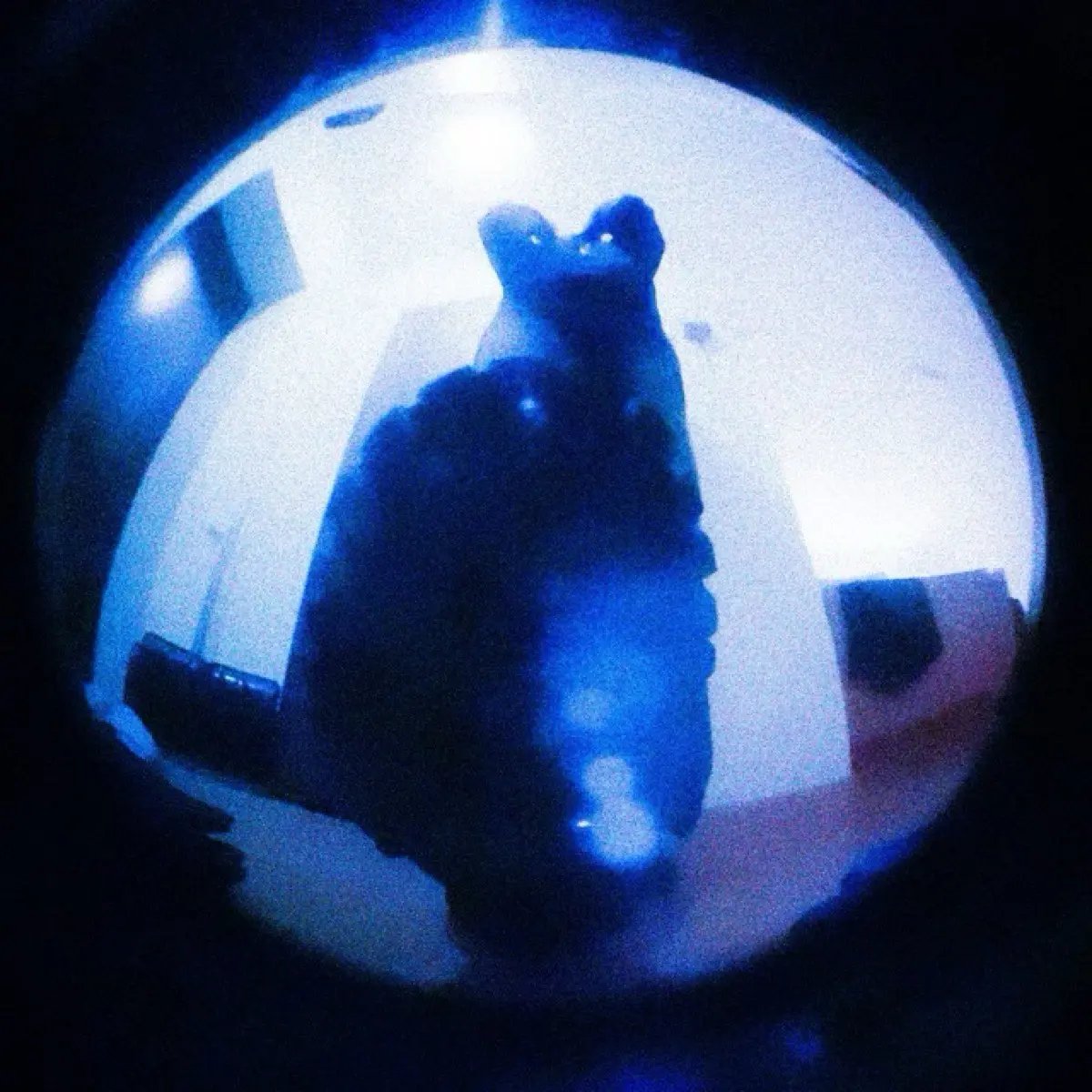 Артемий Роев