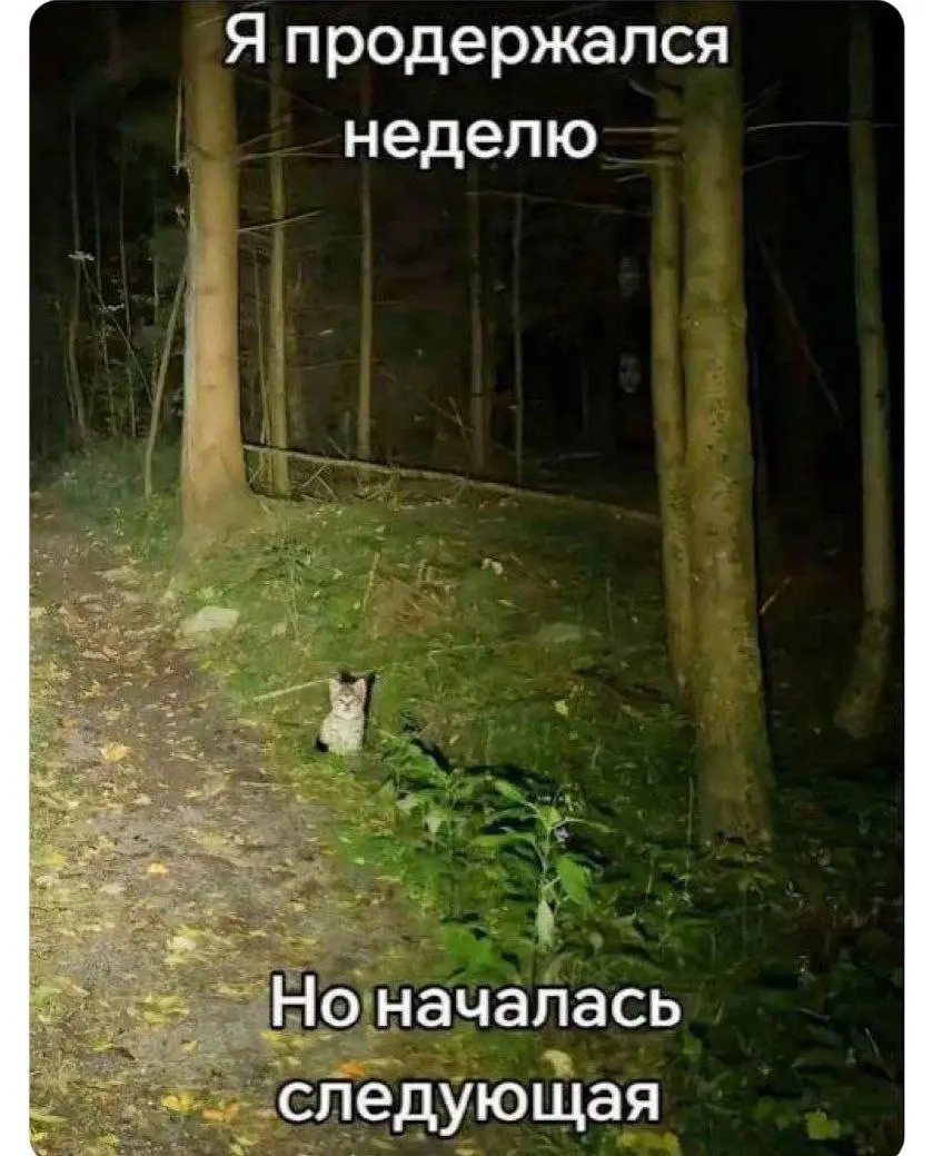 Снова понедельничек 💻 | Сетка — социальная сеть от hh.ru