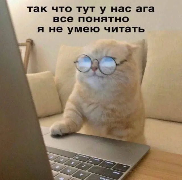 Снова котики и работа | Сетка — социальная сеть от hh.ru