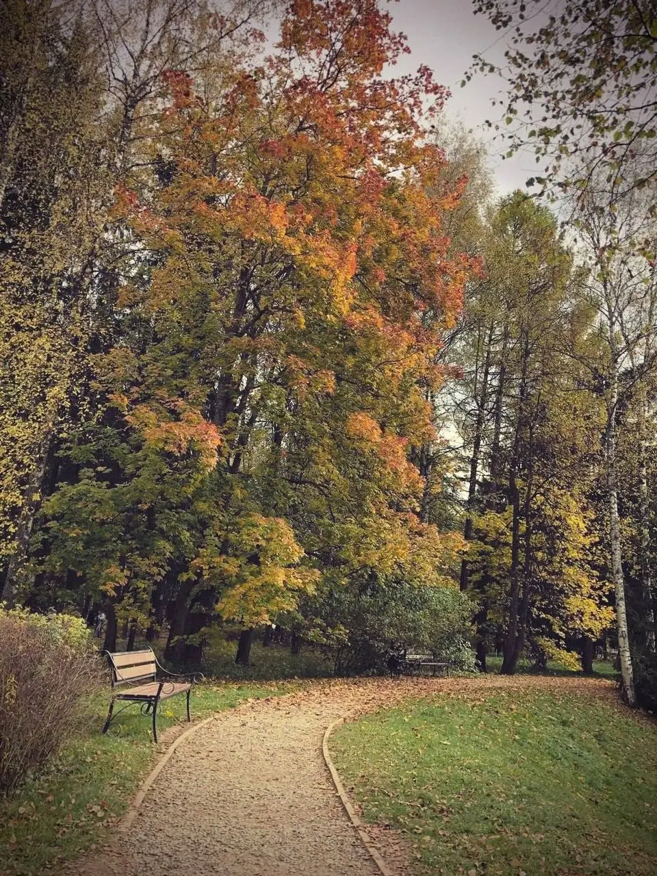 🍂Атмосфера осени в Музее-заповеднике Абрамцево
📲Подпишитесь на Вдвижении
#активныйотдых
В этом посте были ссылки, но мы их удалили по правилам Сетки | Сетка — социальная сеть от hh.ru
