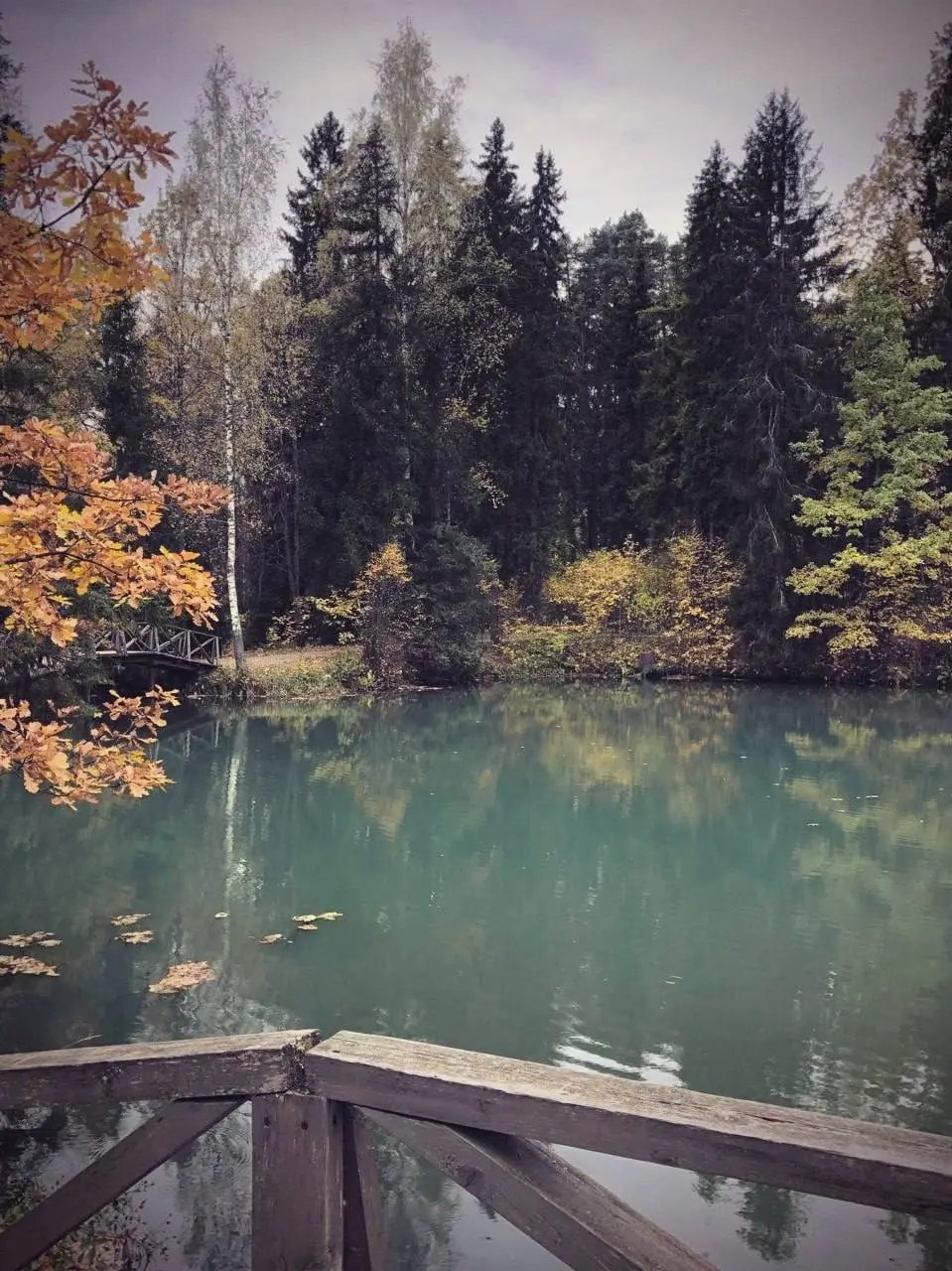 🍂Атмосфера осени в Музее-заповеднике Абрамцево
📲Подпишитесь на Вдвижении
#активныйотдых
В этом посте были ссылки, но мы их удалили по правилам Сетки | Сетка — социальная сеть от hh.ru