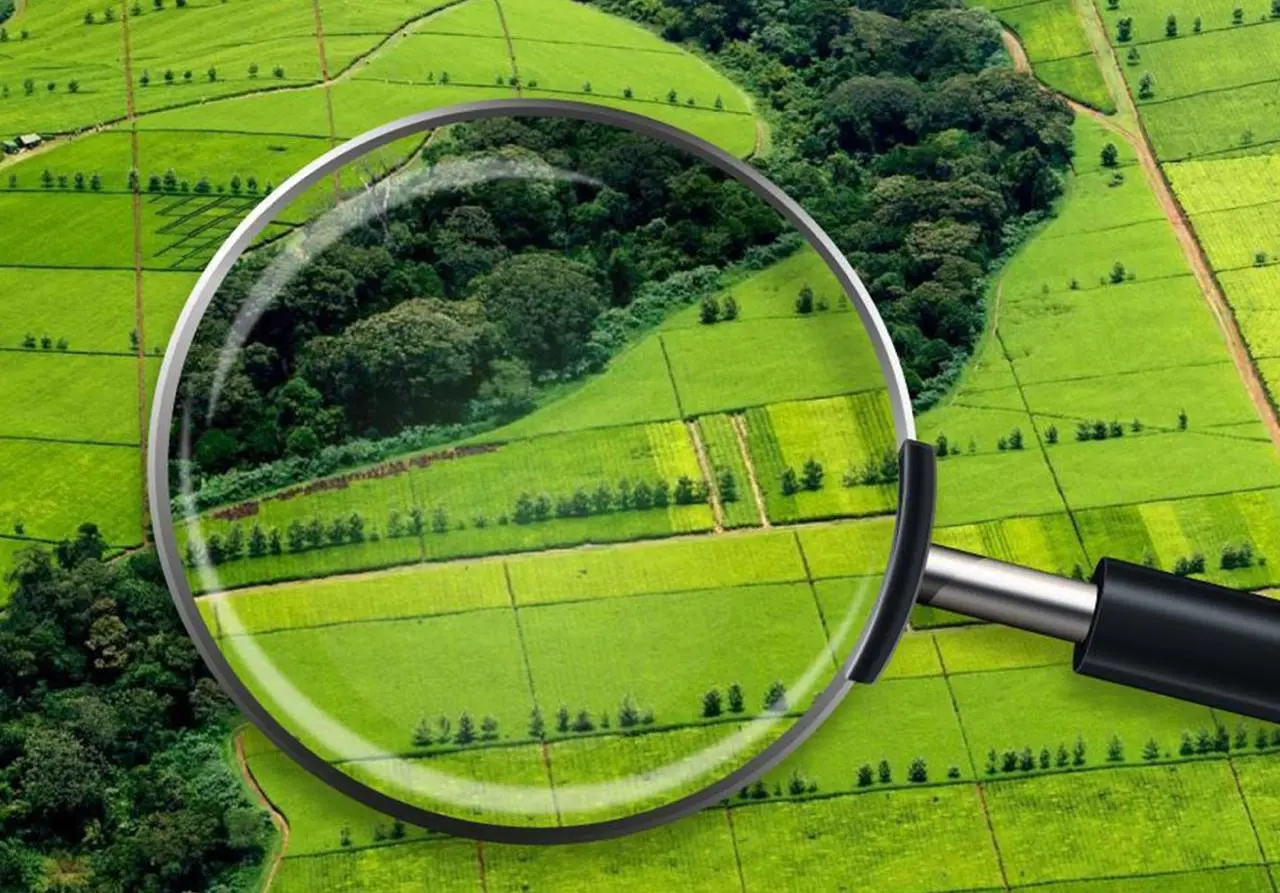 📌Делюсь полезностями.
Кто давно занимается покупкой-продажей земельных участков, знает какие документы запрашивать у продавца перед проведением сделки для изучения | Сетка — социальная сеть от hh.ru