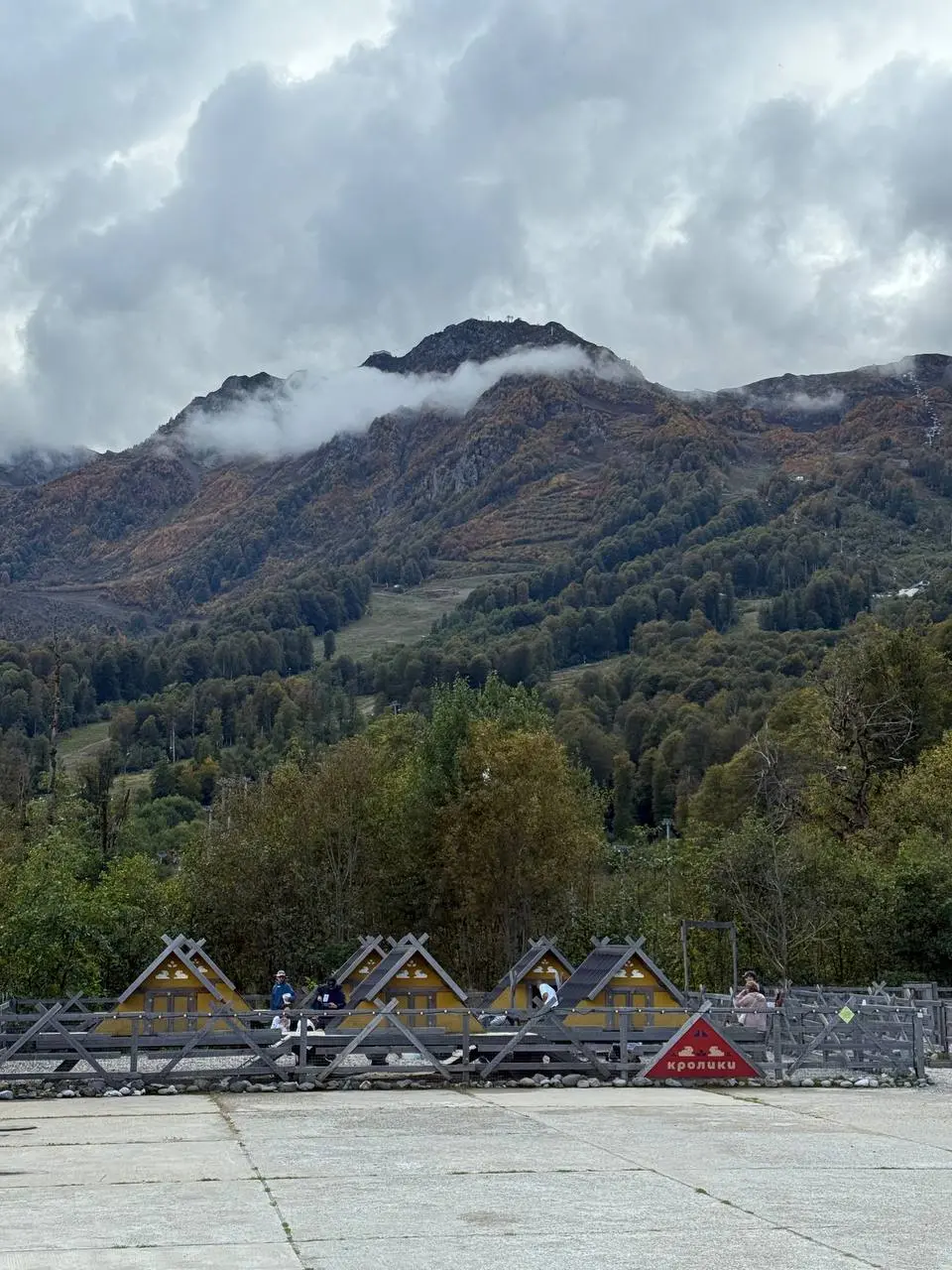 Отпуск в горах — это всегда хорошее решение⛰️❤️
Где вы отдыхали в этом году? Где больше всего понравилось? | Сетка — социальная сеть от hh.ru