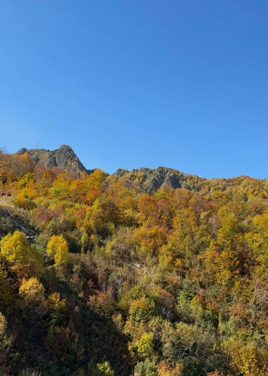Отпуск в горах — это всегда хорошее решение⛰️❤️
Где вы отдыхали в этом году? Где больше всего понравилось? | Сетка — социальная сеть от hh.ru