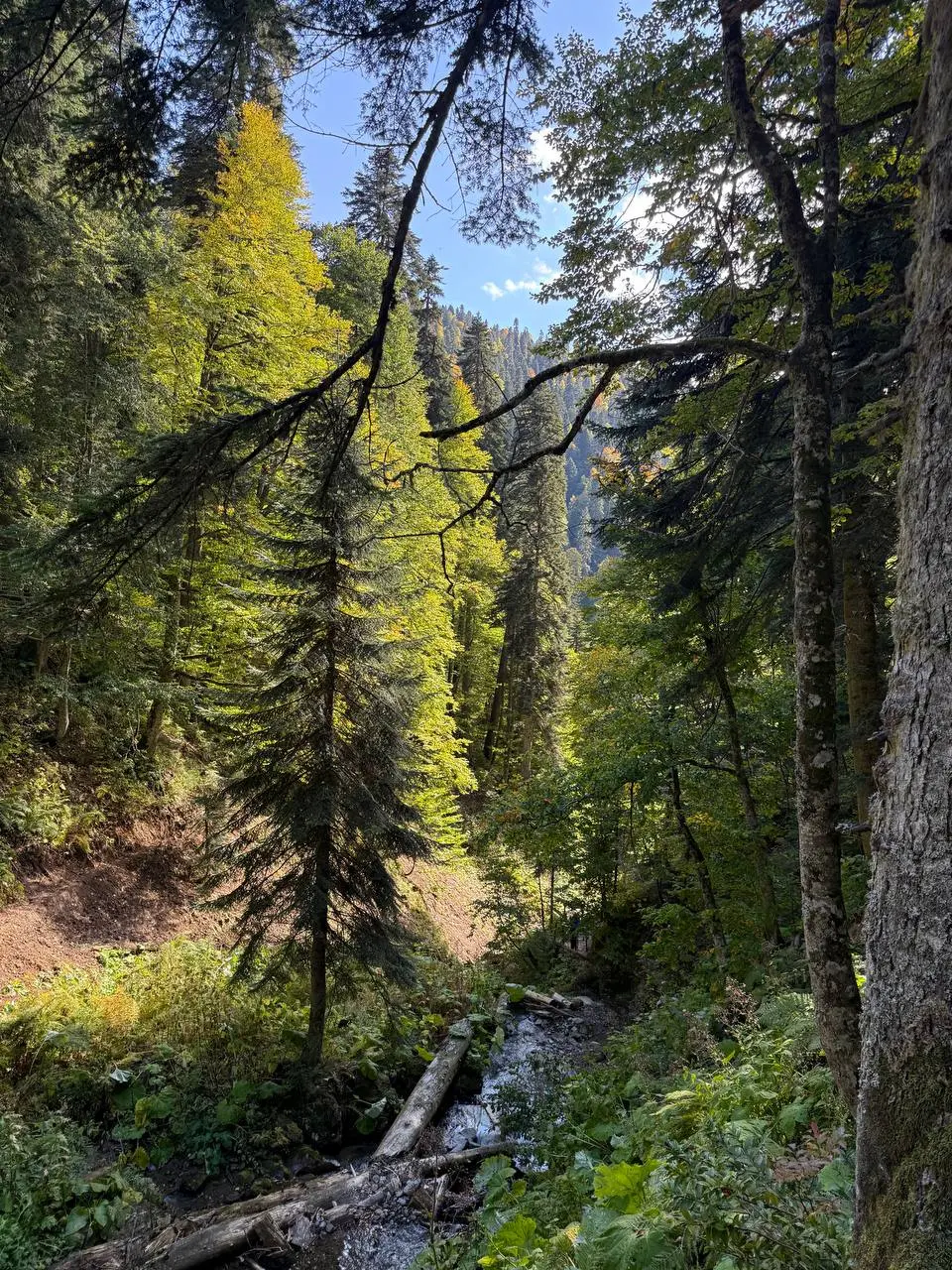 Отпуск в горах — это всегда хорошее решение⛰️❤️
Где вы отдыхали в этом году? Где больше всего понравилось? | Сетка — социальная сеть от hh.ru