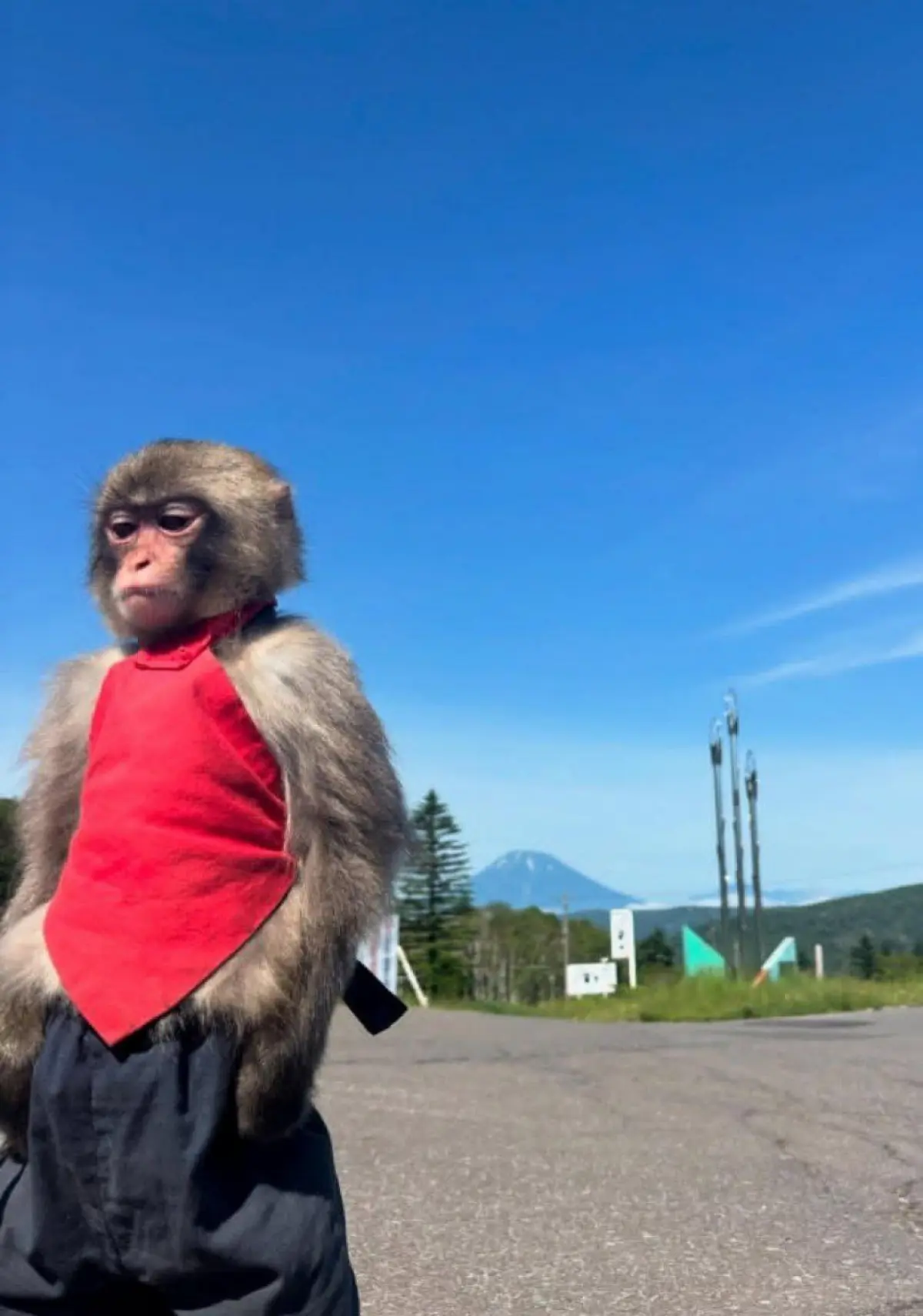 Почему искать работу на hh.ru — это как симулятор отказов? | Сетка — социальная сеть от hh.ru