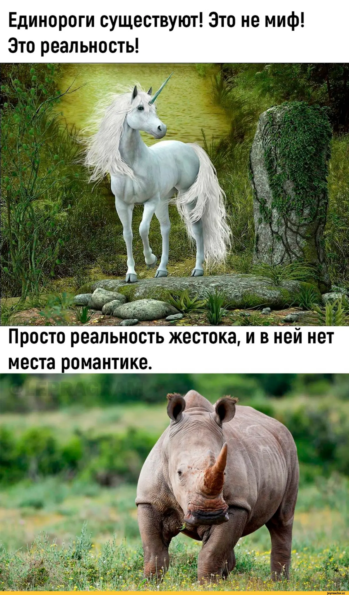 Вопрос ответ в картинках | Сетка — социальная сеть от hh.ru