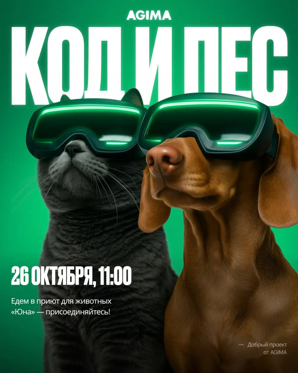 «Код и пес»: собираем IT-комьюнити и помогаем приюту: https://itdog.agima.ru/
Наш добрый проект «Код и пес» снова в деле | Сетка — социальная сеть от hh.ru