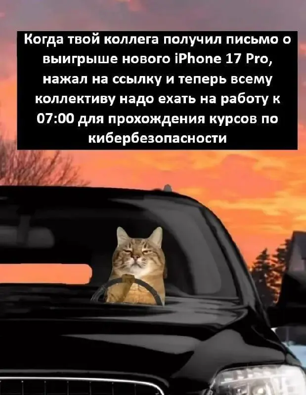 #КиберМем
⚡ ПБ | 😎 Чат | 🛍 Проекты
В этом посте были ссылки, но мы их удалили по правилам Сетки | Сетка — социальная сеть от hh.ru