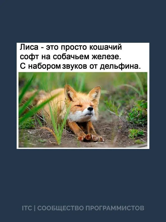 #юмор
Когда рассуждаешь как программист 😂 | Сетка — социальная сеть от hh.ru