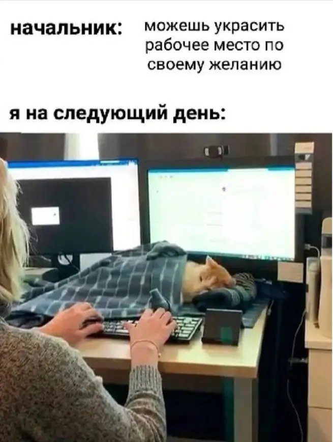 Ну что, сезон подготовки к новогодним корпоративам можно считать официально открытым! 🎄 
 
Последние две недели пролетели как один миг, но вместили в себя целый марафон задач: 
✅️ Настройка автоматизи... | Сетка — социальная сеть от hh.ru