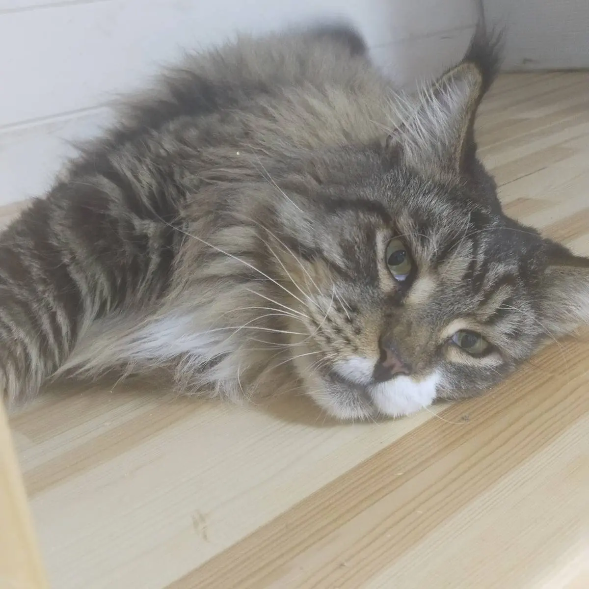 Михаил Кузнецов