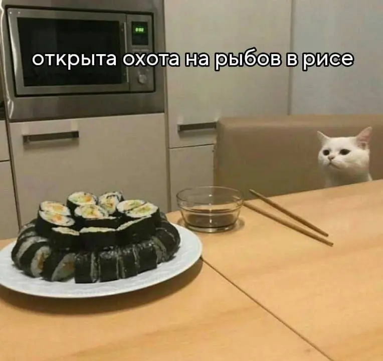 Миссия невыполнима 😂😂
#Юмор@poldner #Коты@poldner | Сетка — социальная сеть от hh.ru
