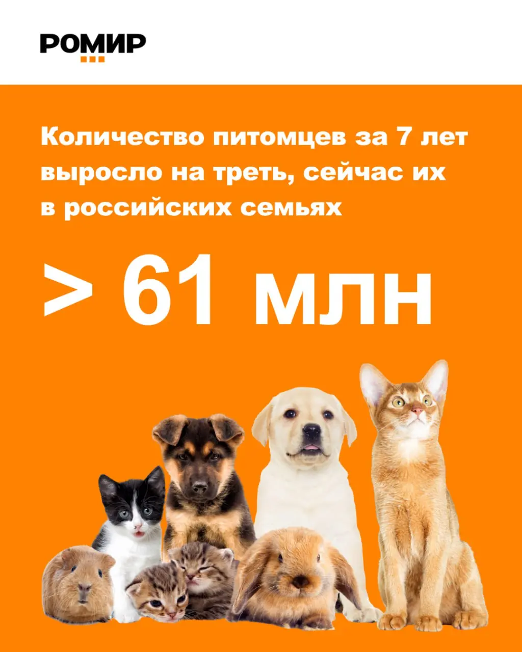 ⚡️ По данным РОМИР, в городских россий­ских семьях сегодня проживают более 61 млн питомцев — это на ~33 % больше, чем семь лет назад:
🔣 85% семей имеют хотя бы одну собаку или кошку
🔣 63% семей владею... | Сетка — социальная сеть от hh.ru