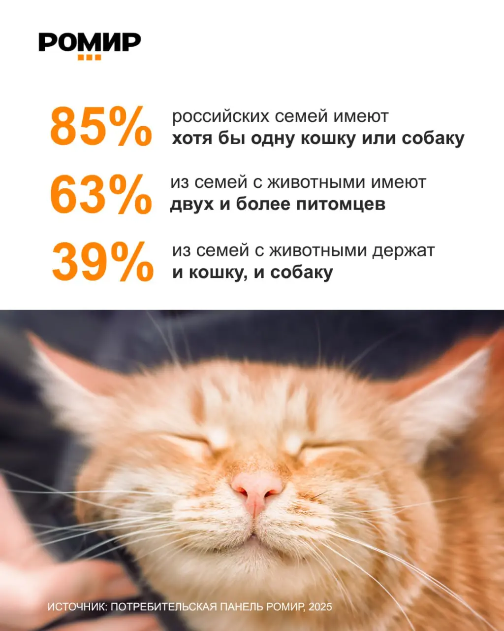 ⚡️ По данным РОМИР, в городских россий­ских семьях сегодня проживают более 61 млн питомцев — это на ~33 % больше, чем семь лет назад:
🔣 85% семей имеют хотя бы одну собаку или кошку
🔣 63% семей владею... | Сетка — социальная сеть от hh.ru